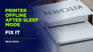 Printer Offline After Sleep Mode