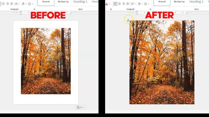 Fix Borderless Photo Printing Gaps