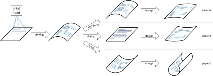Paper Curl Fix and Prevention